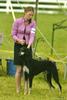 Mercury Best of Breed Competition.