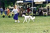 Skye 1996 showing at SCOA National