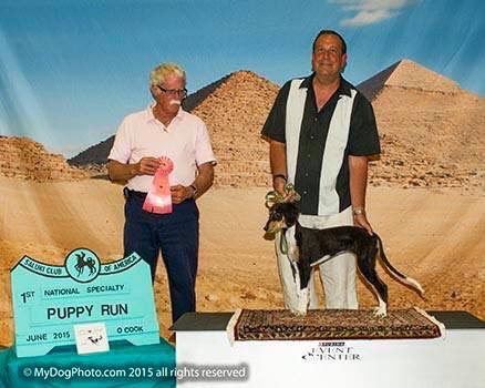 Aria Winner of Puppy Run