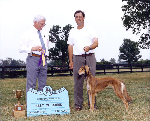 Fina awarded plaque for #1 ASFA dog