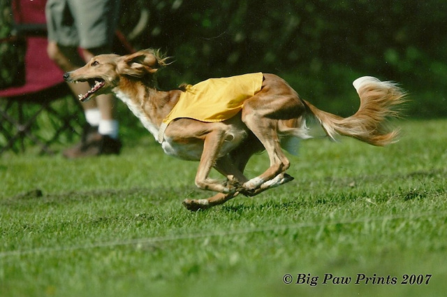 Gigi Loves to Run!