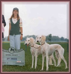 Isis and Skye as obedience brace