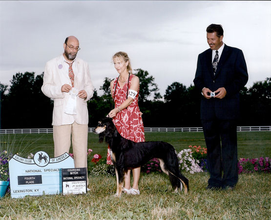 Joli Fourth in Coursing Bitch