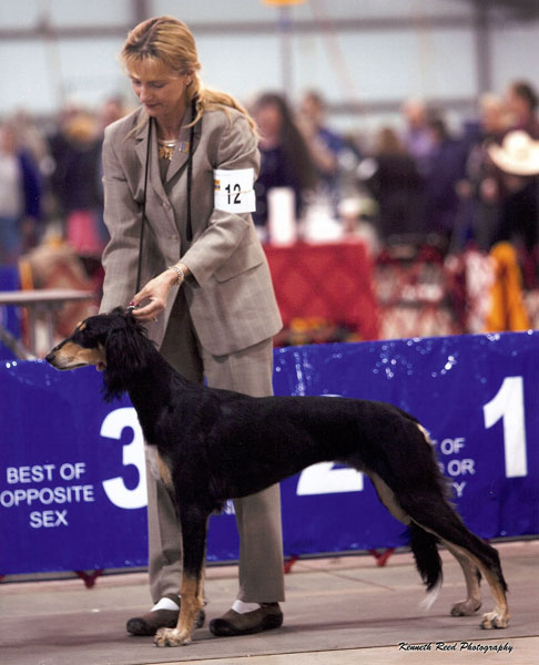 Joli in Group Ring