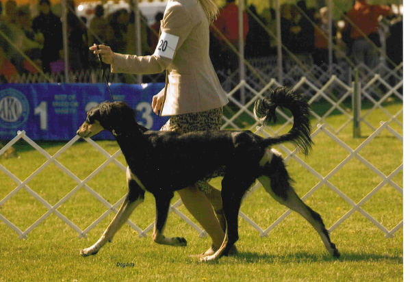 Joli and Kathy in ring