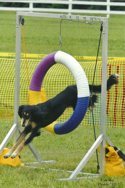 Joli in Tire Jump