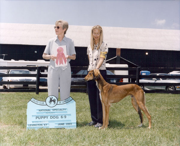 Marquis winning Futurity class