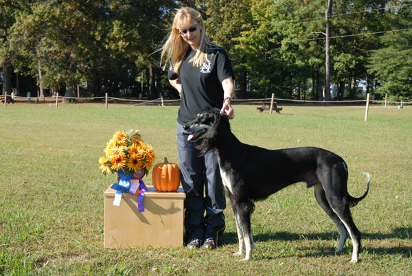 Regional Invitational Best of Breed Winner