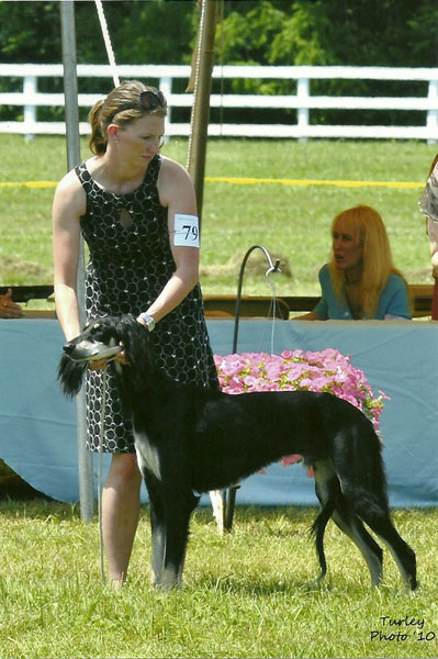 Mercury in Futurity.