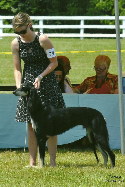 Mercury in Futurity.