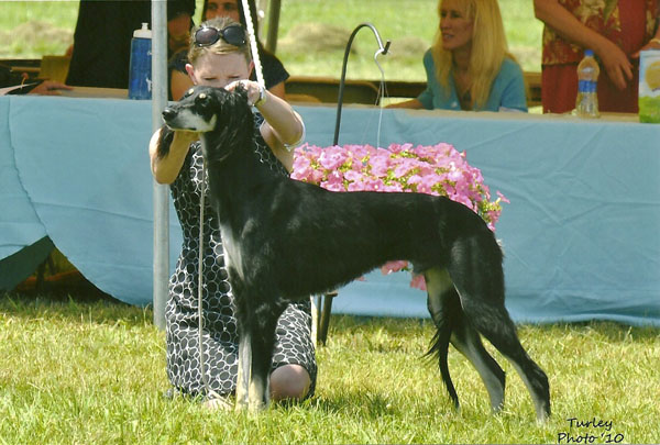 Mercury in Futurity.