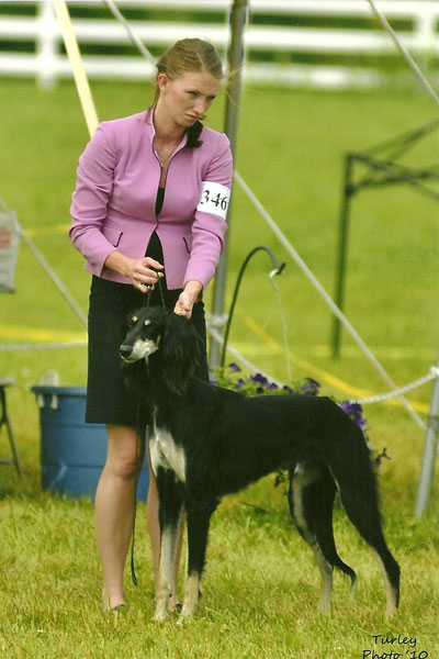 Mercury Best of Breed Competition.