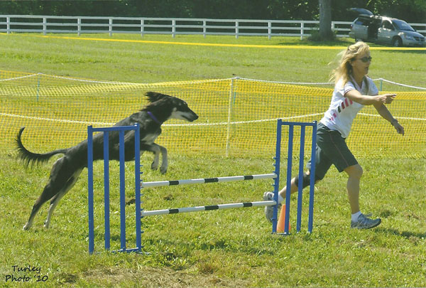 Mercury in agility