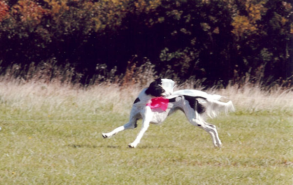 Nebbi October 2003