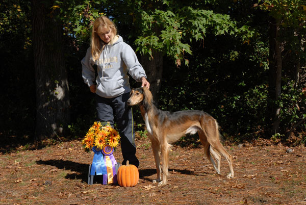 Regional Invitational Best of Breed Winner