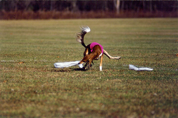 Rush catches the lure