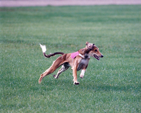 Rush making a turn on the field