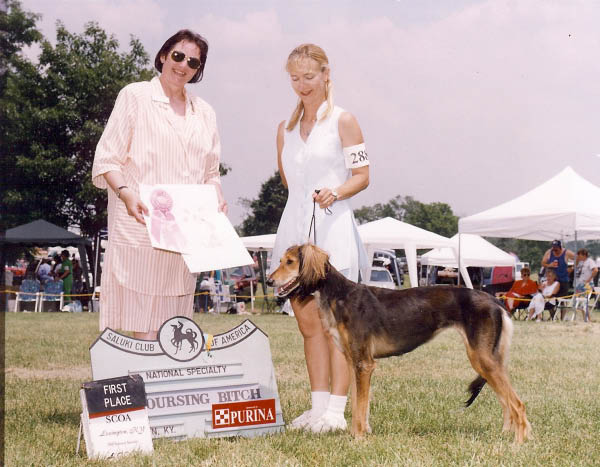 Tika Coursing Bitch at SCOA National