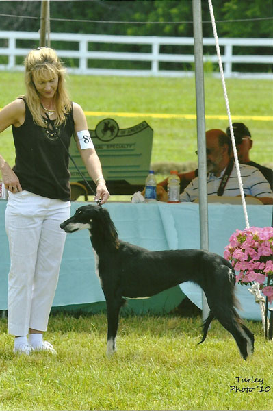 Vesta Futurity class