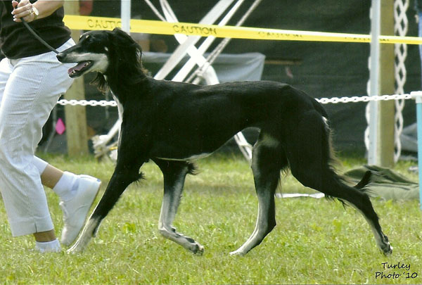 Vesta Futurity class.