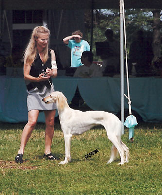 Kathy and Winters in the ring SCOA Nationals