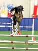 Athena in agility