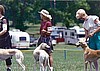 Kathy and Isis in the ring at National