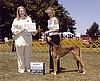 Marquis Winners Dog