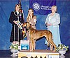 ESC 2005 Award of Merit winner