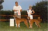 SCOA Breeder and Kennel Stake Winners