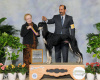 Mercury Best of Breed