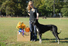 Regional Invitational Best of Breed Winner