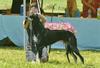 Mercury in Futurity.