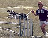 Nebbi in agility 2004