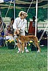 Rush in the show ring SCOA 1996