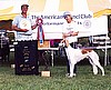 National Field Champion 2000