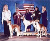 Sangi Stud Dog 2003