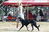 Kathy showing Tobin at National