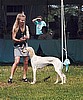 Kathy and Winters in the ring SCOA Nationals